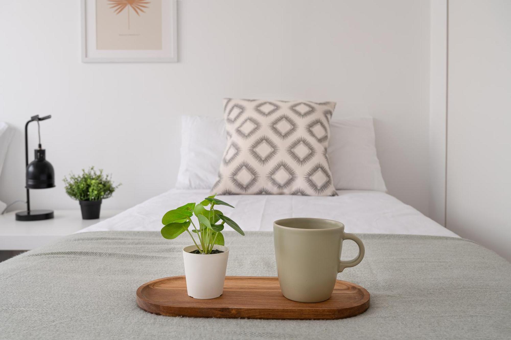 Tetuan Street Apartamento Santander